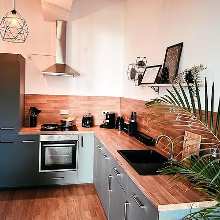 Oasis Appart - Wohnen Im Koenigspark - Elbhang Dresden - Grosse Terrasse - Netflix - Tg מראה חיצוני תמונה
