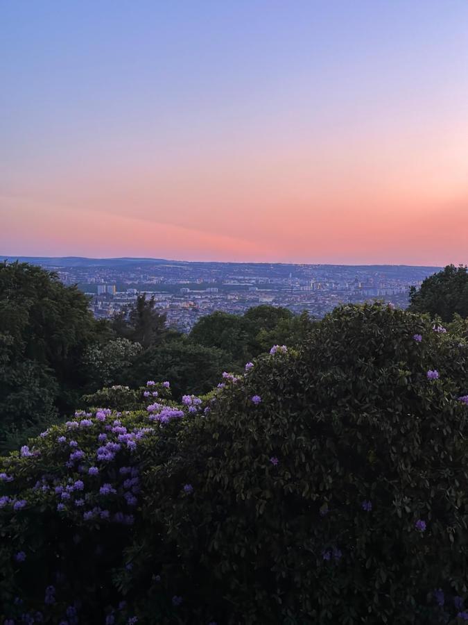 Oasis Appart - Wohnen Im Koenigspark - Elbhang Dresden - Grosse Terrasse - Netflix - Tg מראה חיצוני תמונה