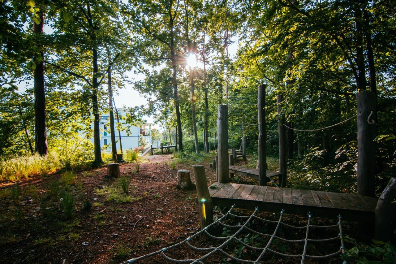 Oasis Appart - Wohnen Im Koenigspark - Elbhang Dresden - Grosse Terrasse - Netflix - Tg מראה חיצוני תמונה