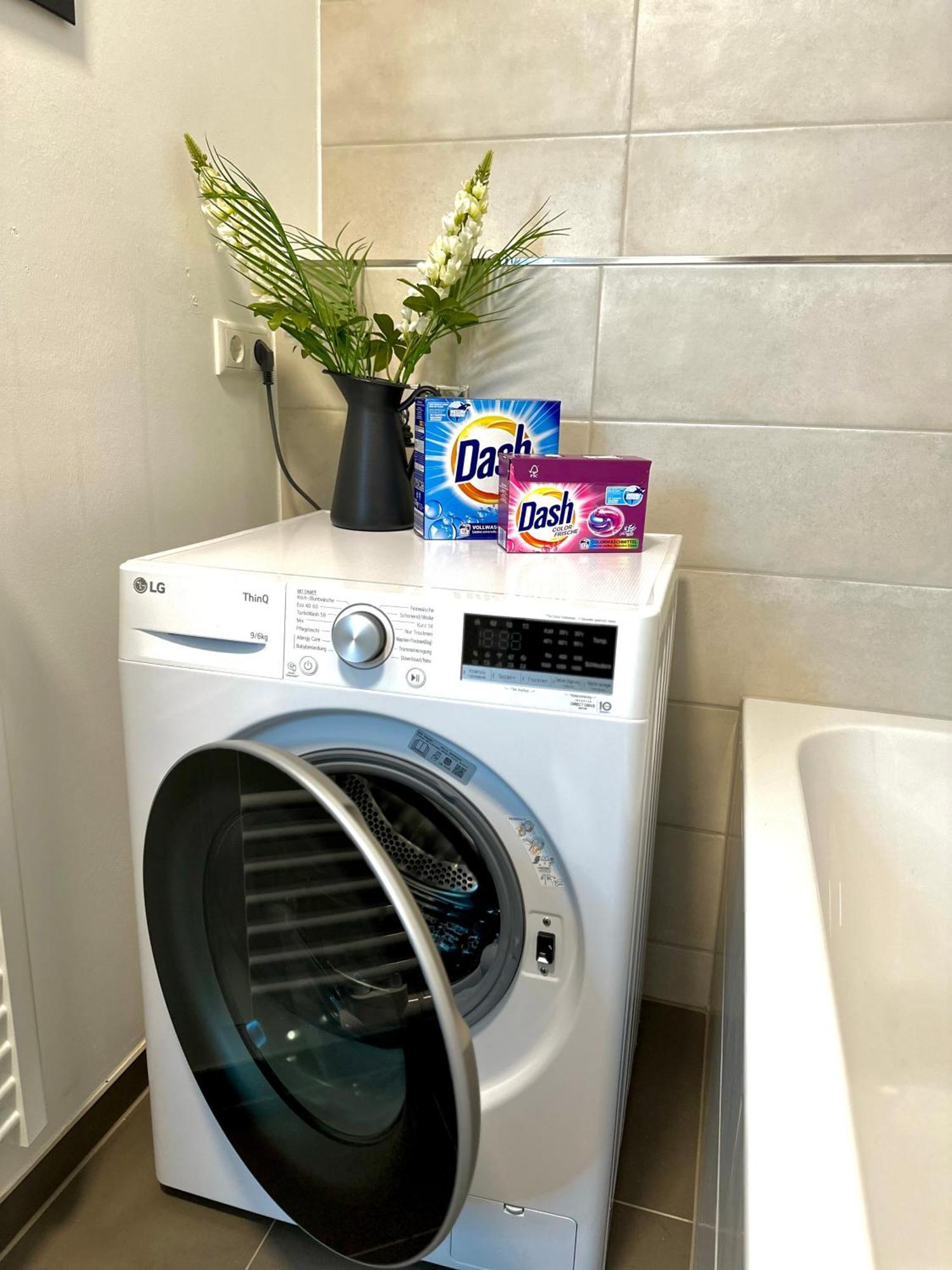 Oasis Appart - Wohnen Im Koenigspark - Elbhang Dresden - Grosse Terrasse - Netflix - Tg מראה חיצוני תמונה