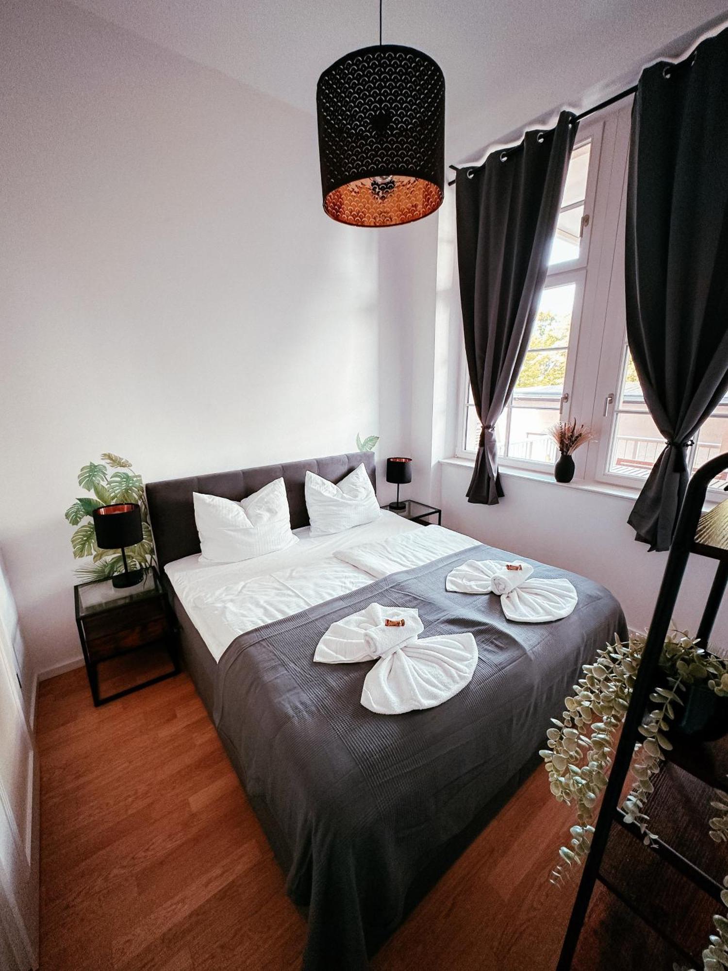 Oasis Appart - Wohnen Im Koenigspark - Elbhang Dresden - Grosse Terrasse - Netflix - Tg מראה חיצוני תמונה