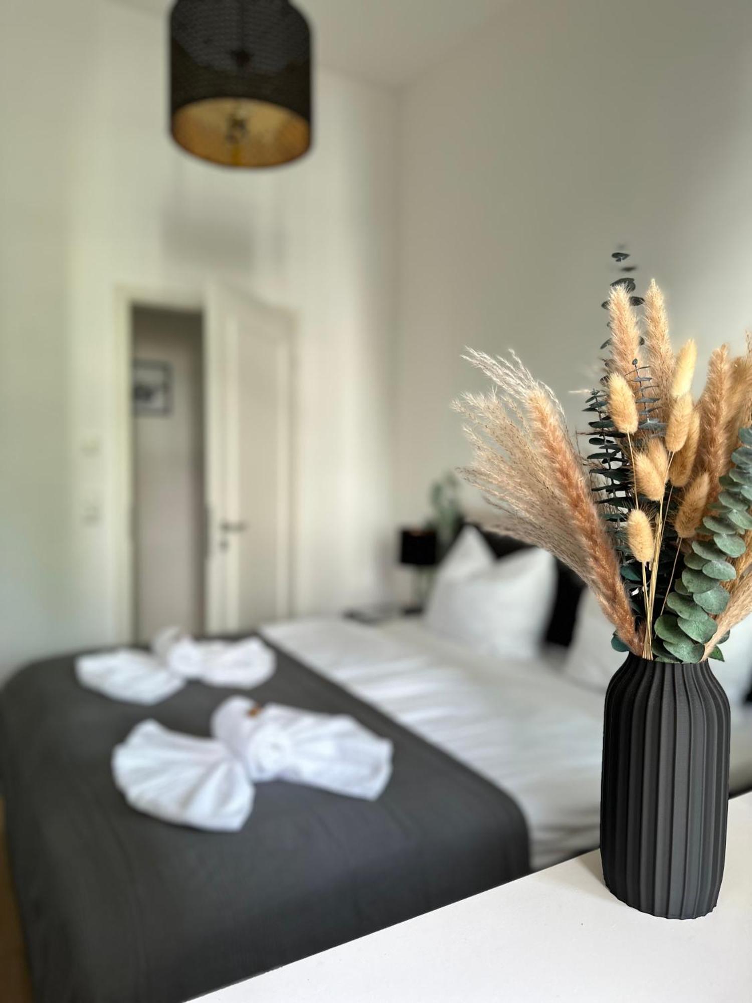 Oasis Appart - Wohnen Im Koenigspark - Elbhang Dresden - Grosse Terrasse - Netflix - Tg מראה חיצוני תמונה