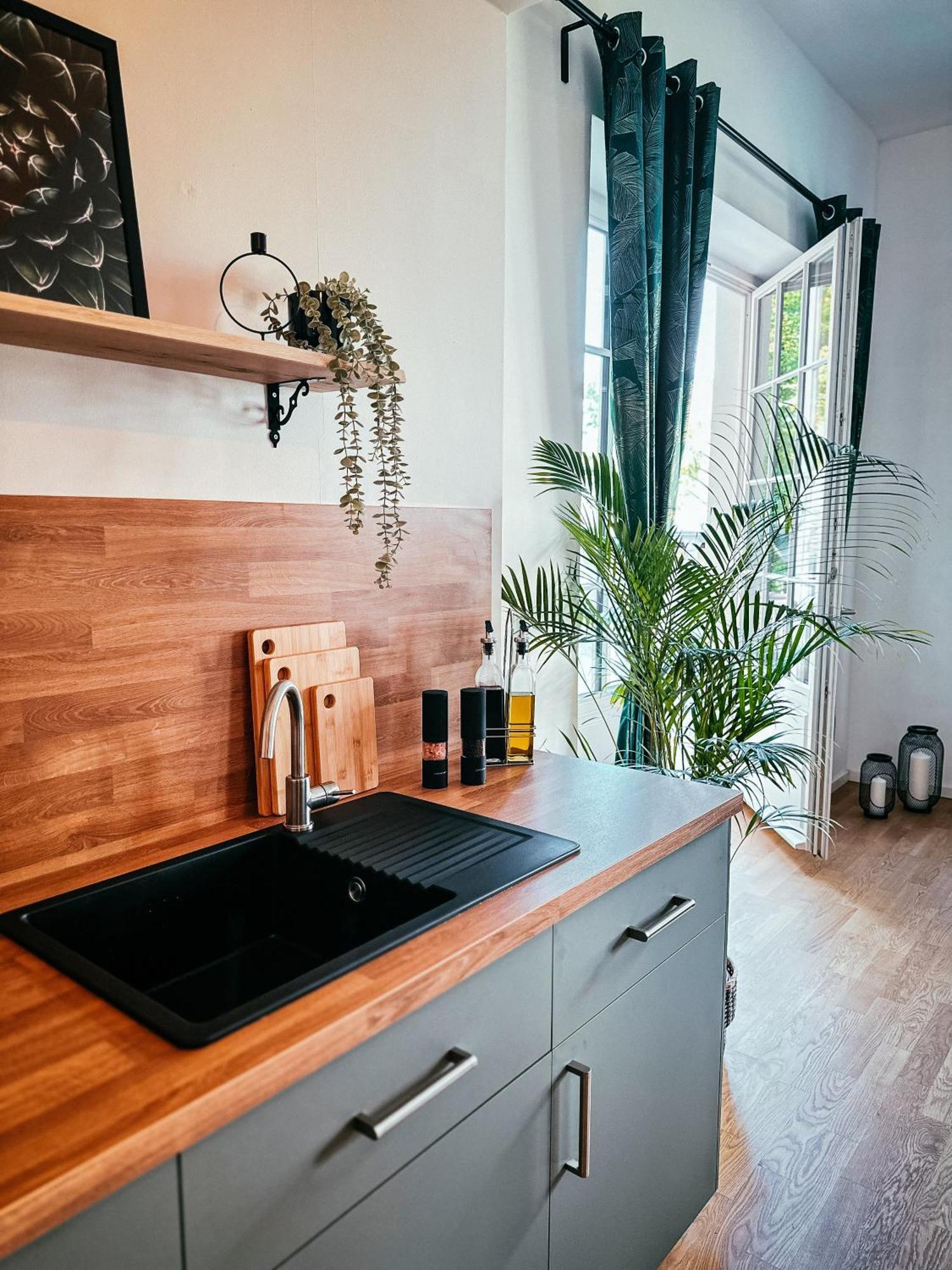 Oasis Appart - Wohnen Im Koenigspark - Elbhang Dresden - Grosse Terrasse - Netflix - Tg מראה חיצוני תמונה